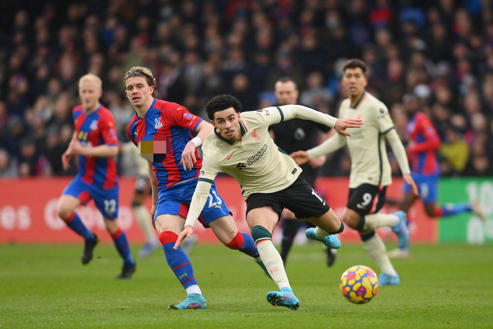 胡金秋这样 胡金秋这样