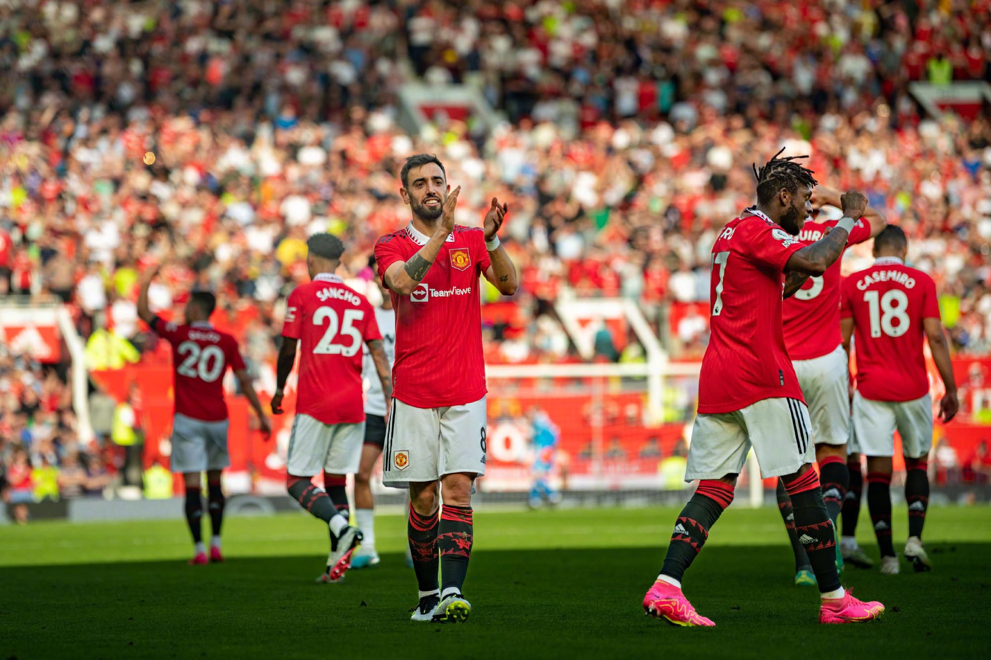 队教练的悉 队教练的悉